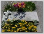 Grob Franceta Balantiča v Grahovem