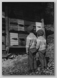 V Torklji 1961 pred čebelnjakom