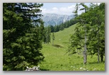 Podgorska planina na Dobrči