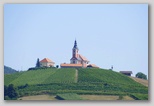 Cerkev sv. Lovre, Vivodina