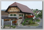 Šola Bistra buča, Radovica