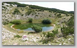 Jezero Crvenjak