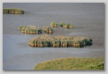 Svitavsko jezero