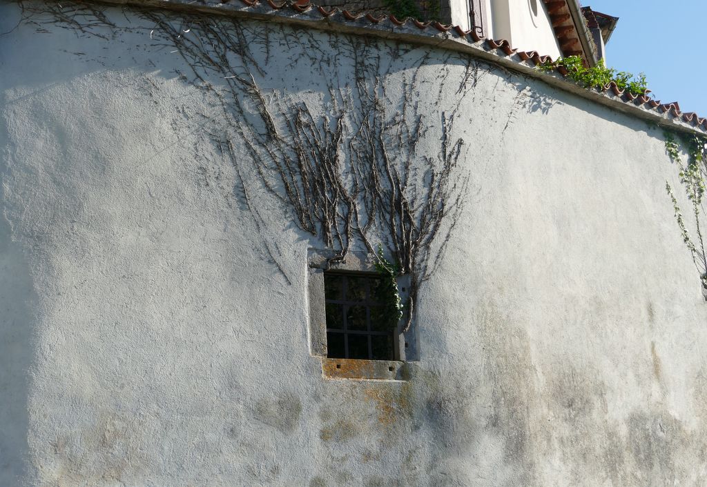 p1410165.jpg