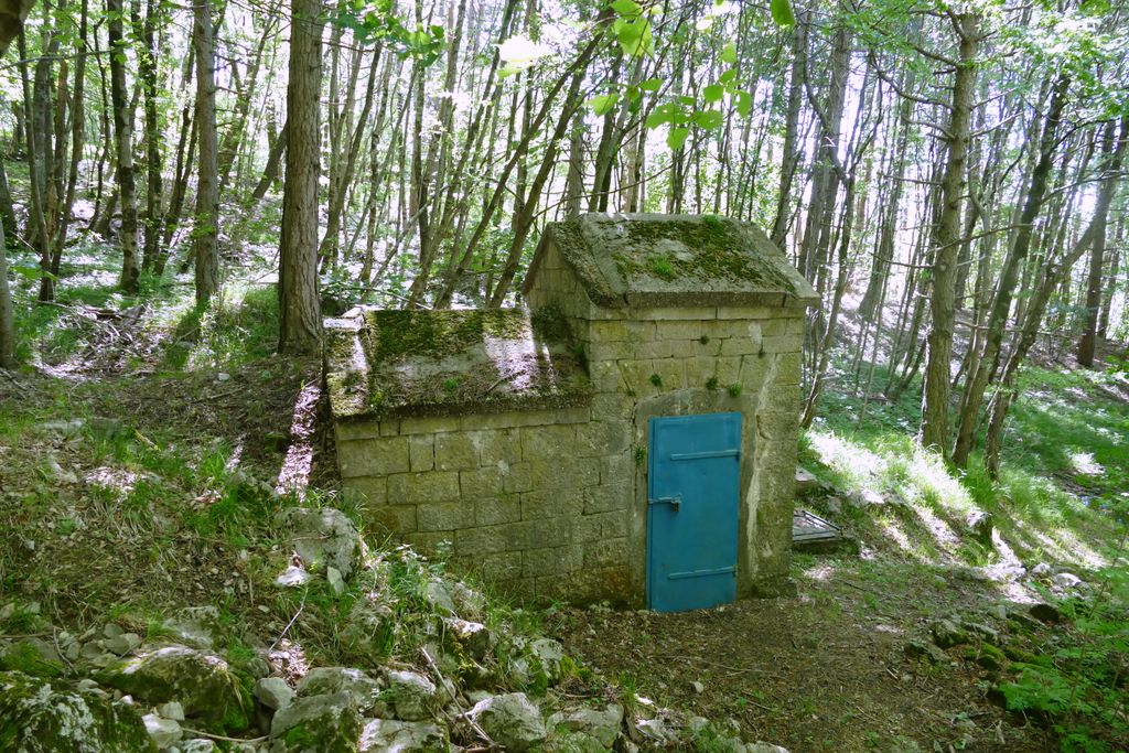 p1410249.jpg