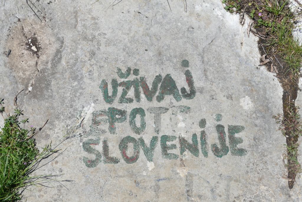 p1410290.jpg