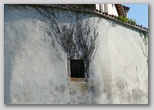 Buzet