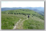 Žbevnica