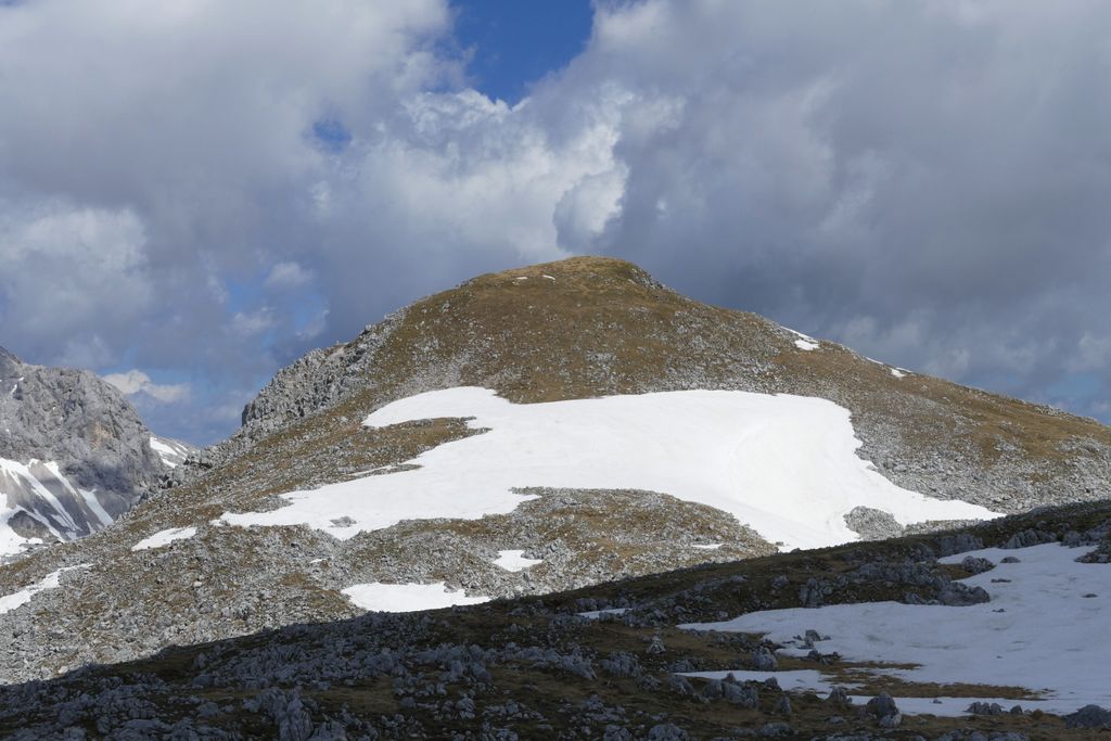 p1410336.jpg