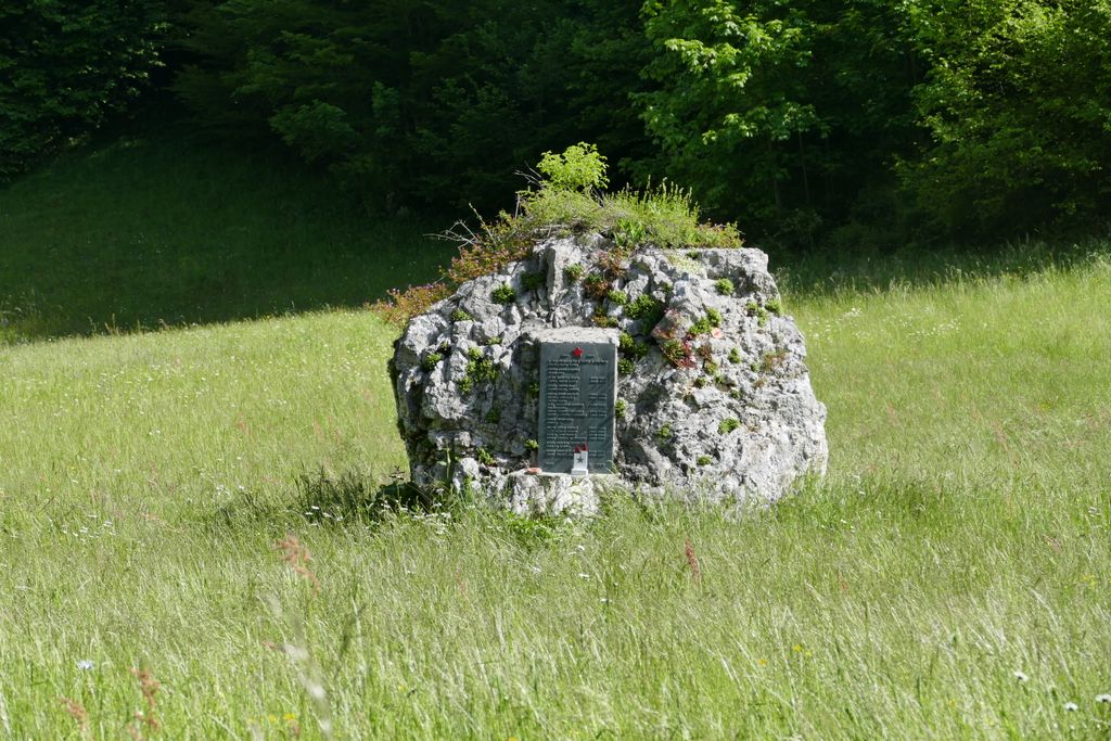 p1410415.jpg
