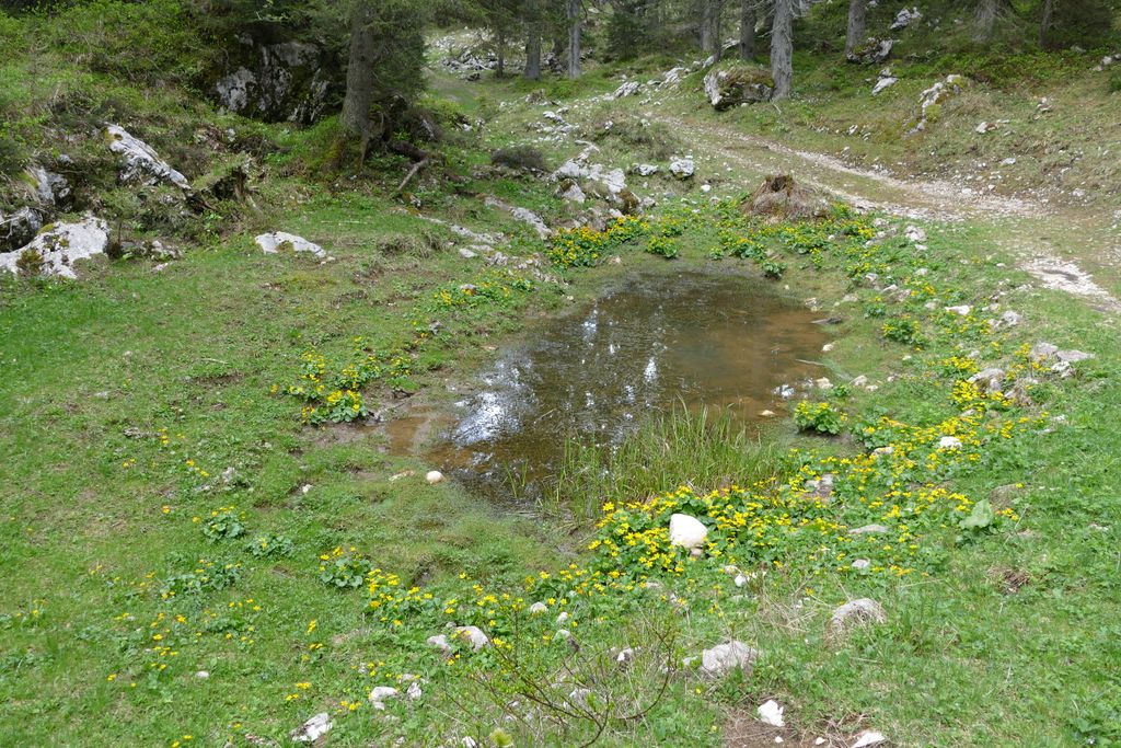 p1410423.jpg