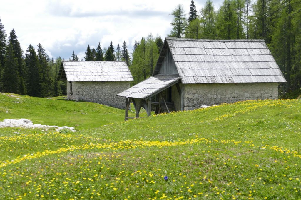 p1410434.jpg