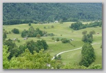 Vošče
