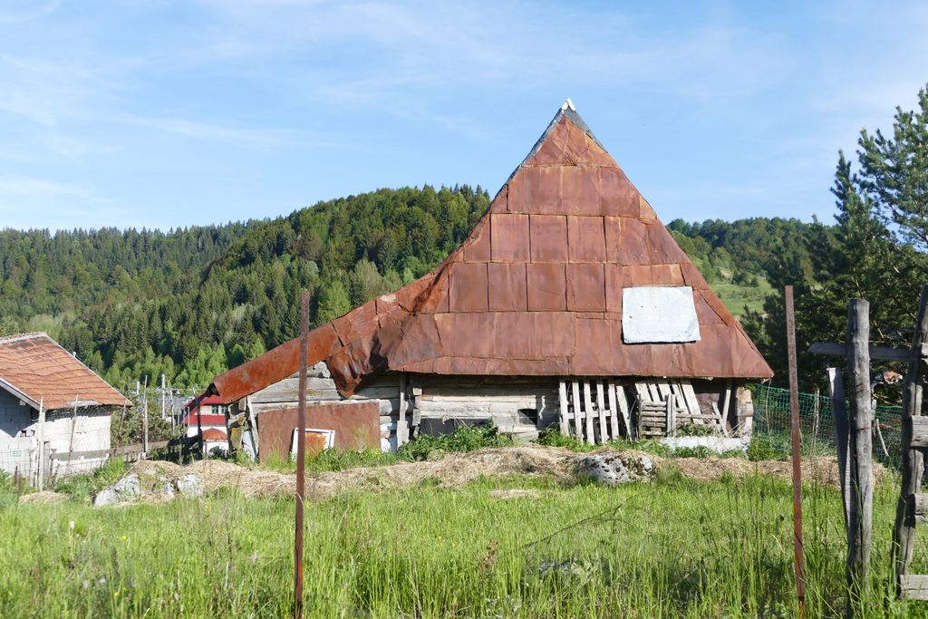 p1410560.jpg