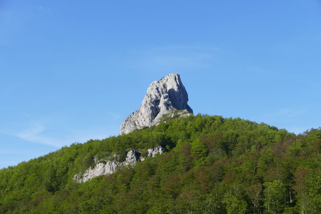 p1410573.jpg