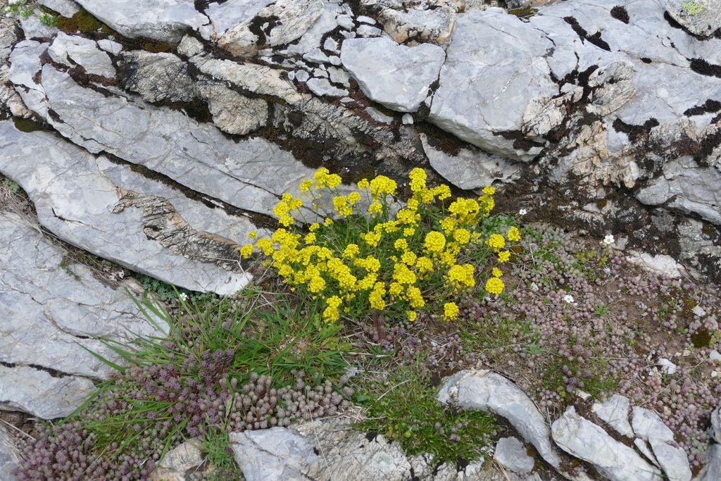 p1410721.jpg
