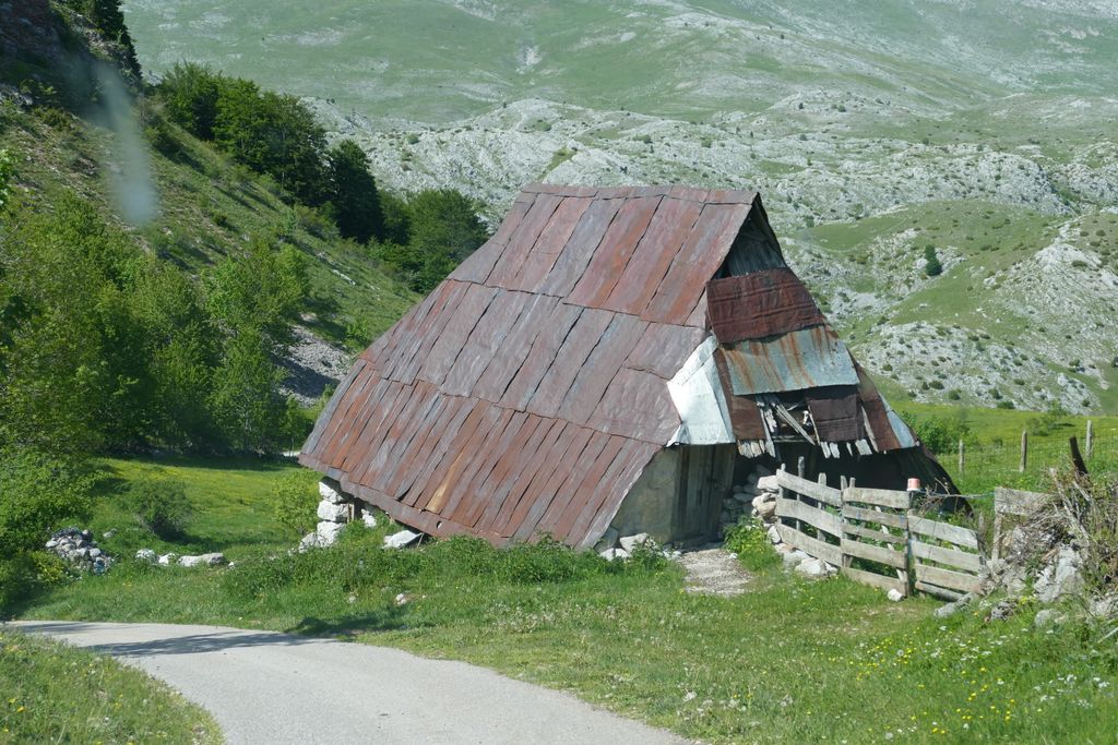 p1410819.jpg