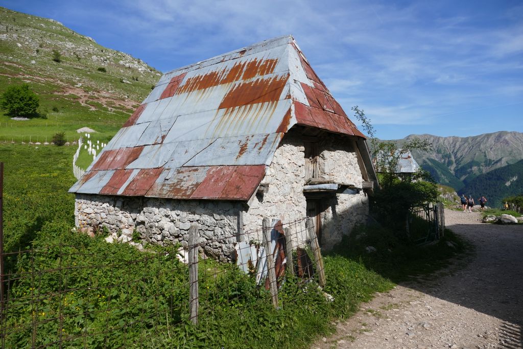 p1410824.jpg