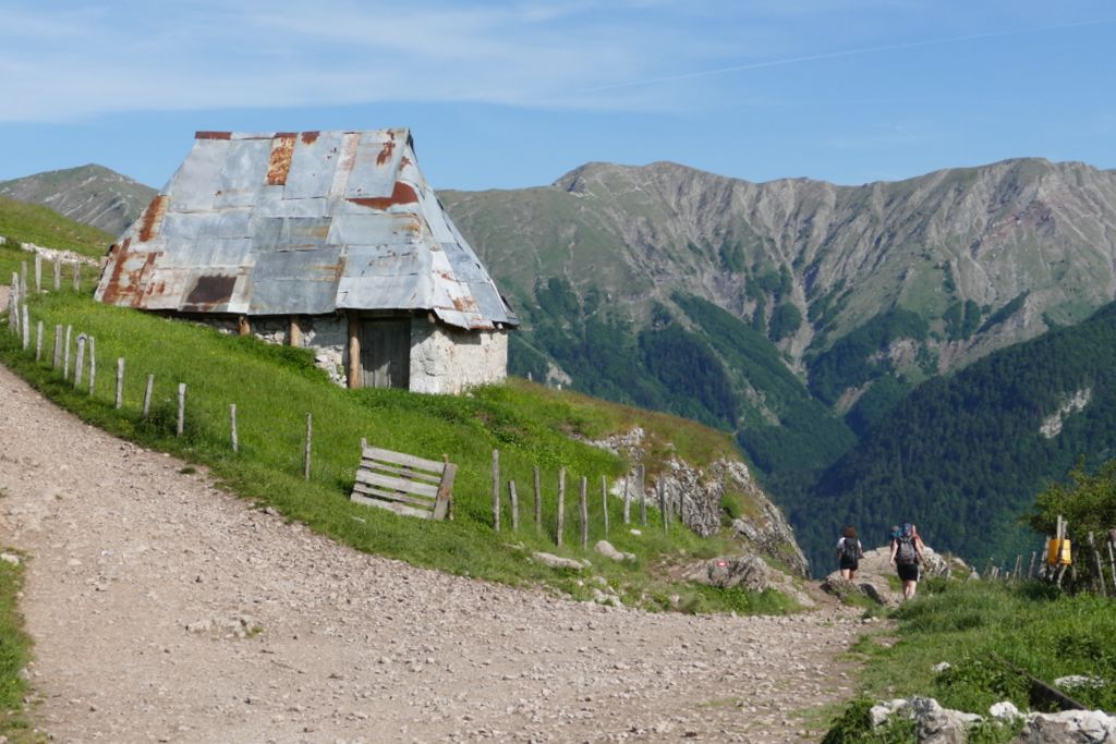 p1410825.jpg