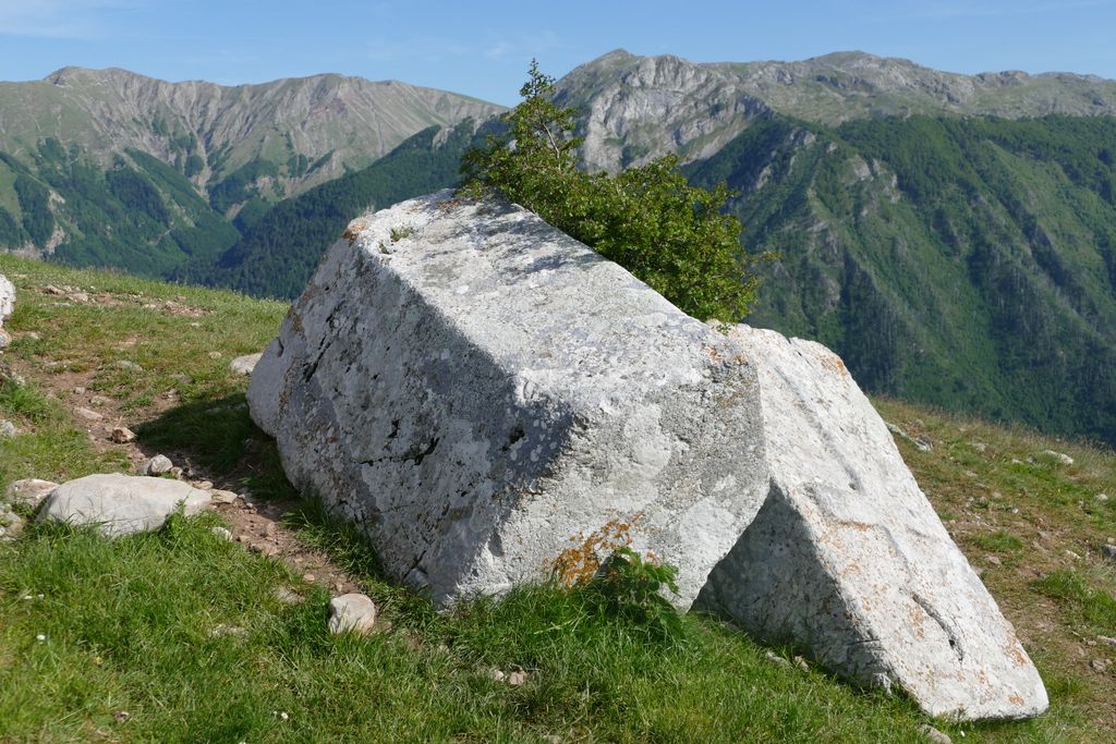 p1410827.jpg