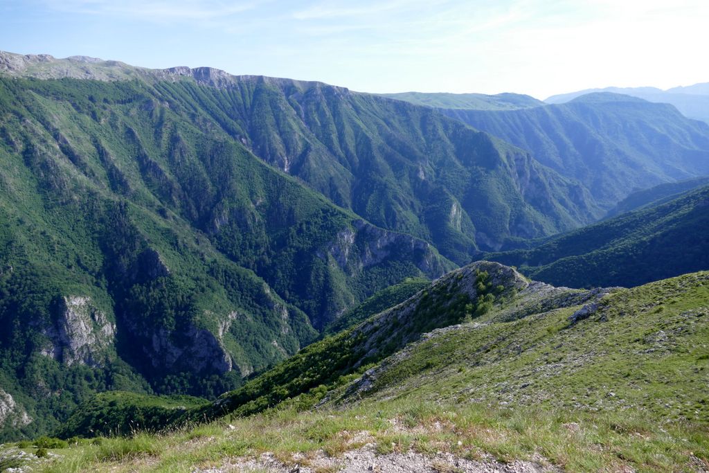 p1410837.jpg