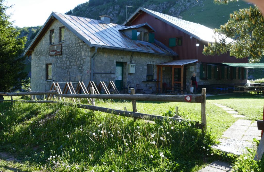 p1410856.jpg