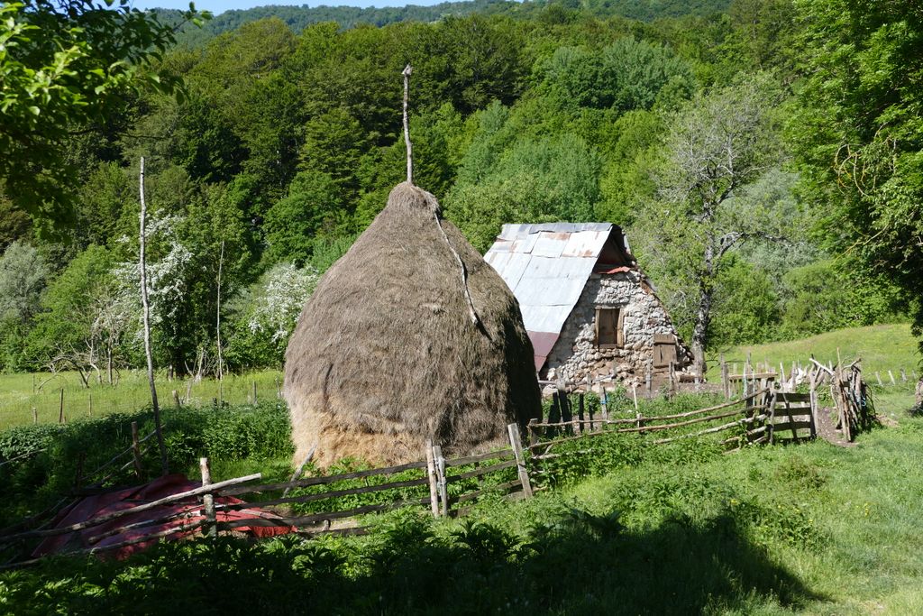 p1410886.jpg