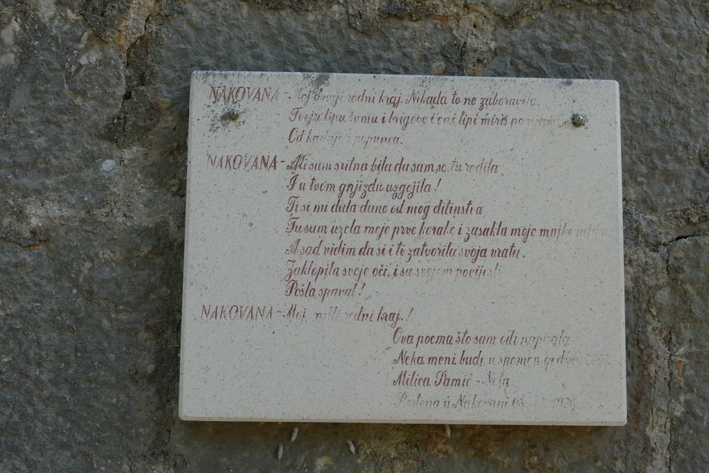p1420127.jpg