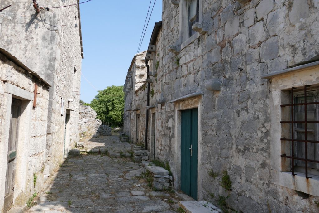 p1420134.jpg