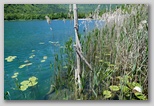 Boračko jezero