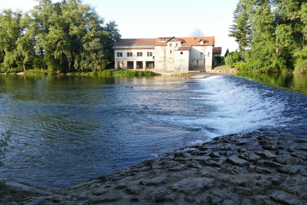 p1430291.jpg