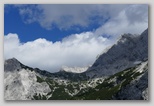 Ledine