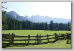 Vrtača