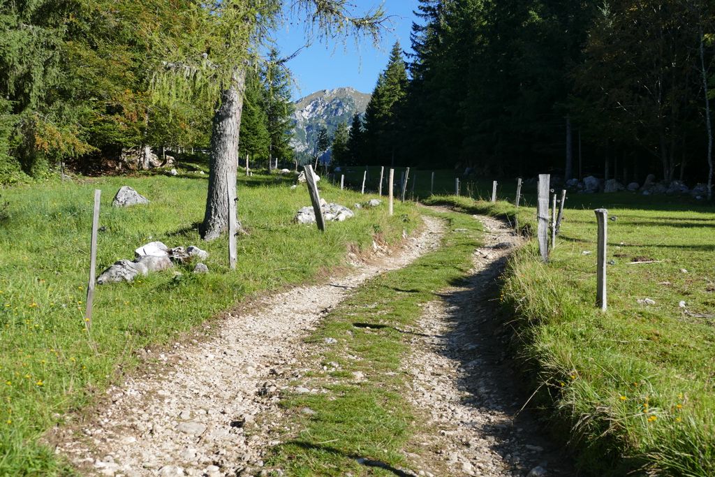 p1440307.jpg