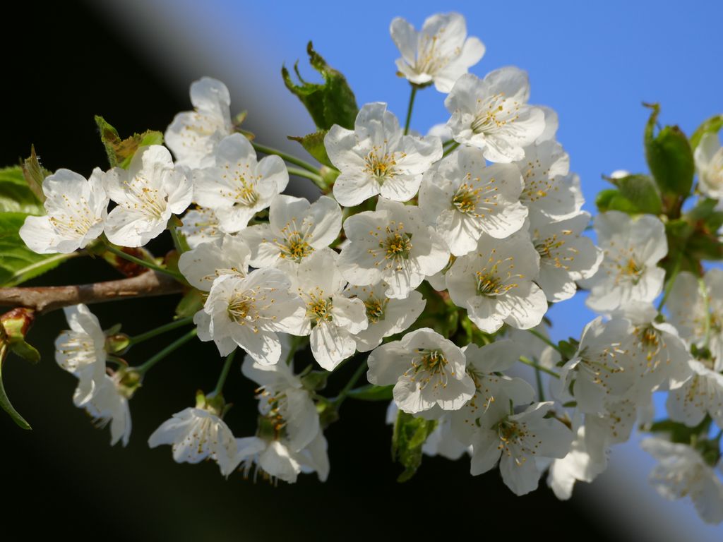 p1460850.jpg