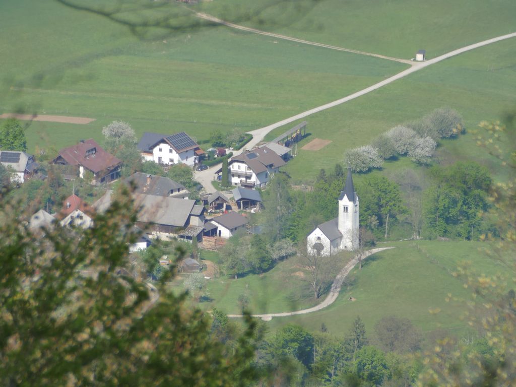 p1460997.jpg
