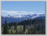 Spodnje bohinjske gore