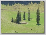 Ribenska planina na Jelovici