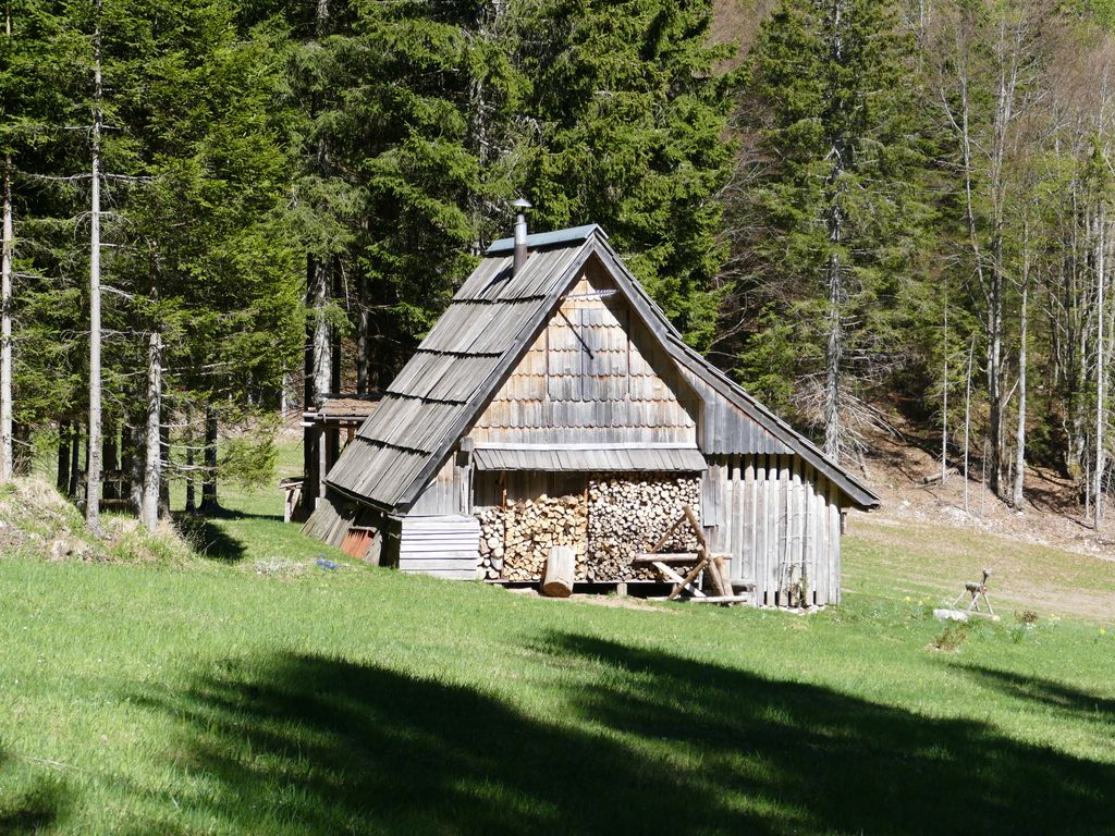 p1470140.jpg