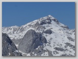 Kanjavec