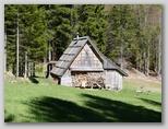 Čiprje