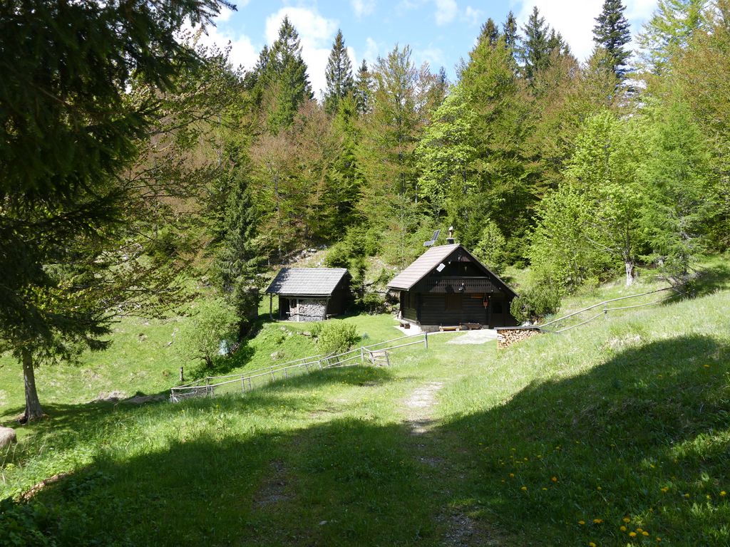 p1470257.jpg