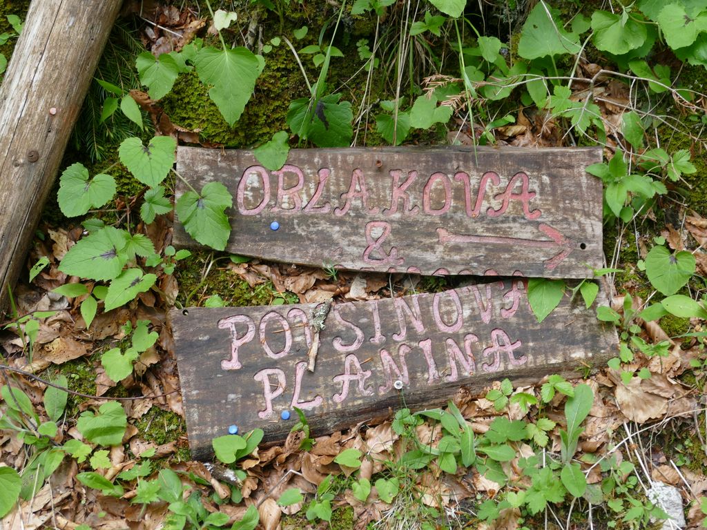 p1470266.jpg