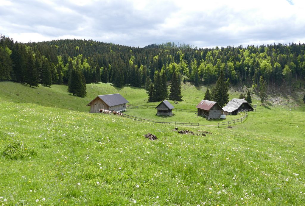 p1470275.jpg