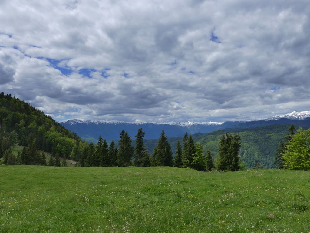p1470277.jpg