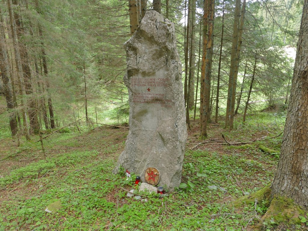 p1470279.jpg