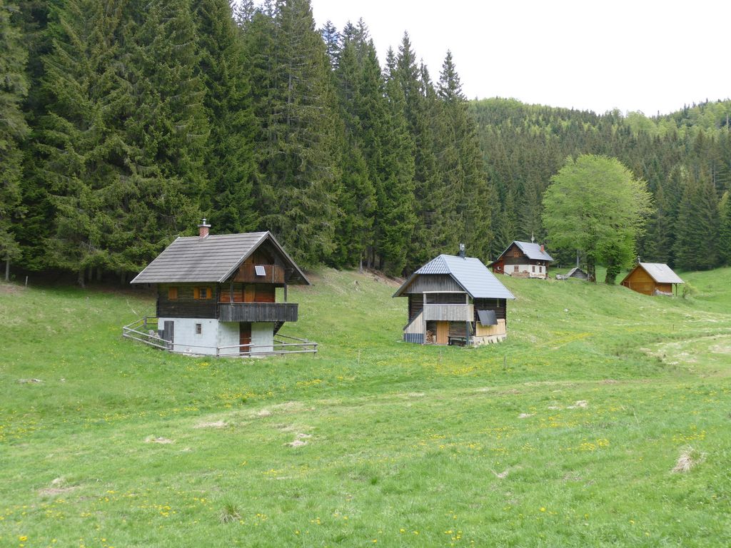 p1470280.jpg