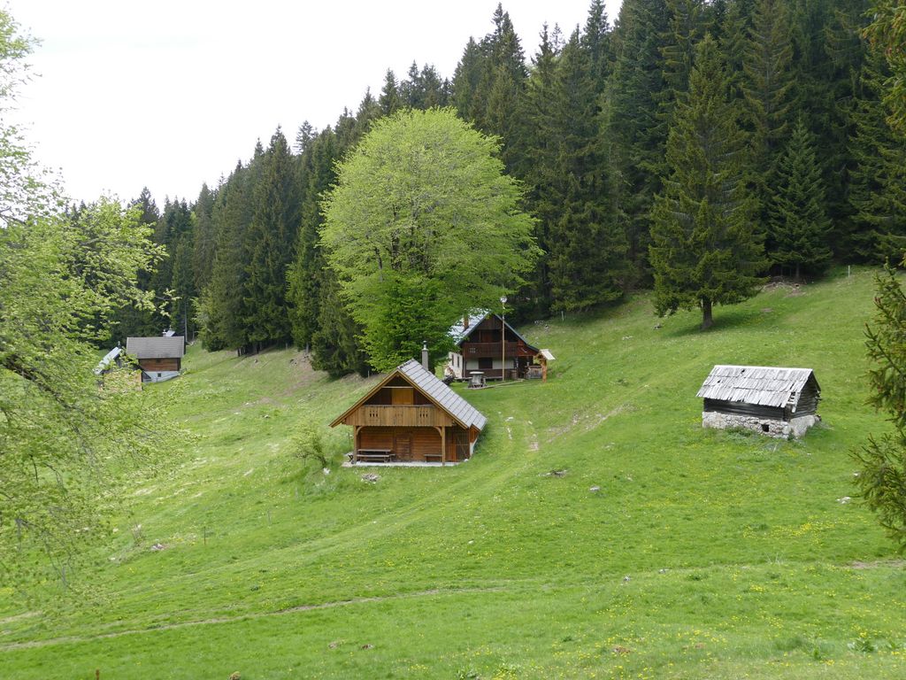 p1470281.jpg