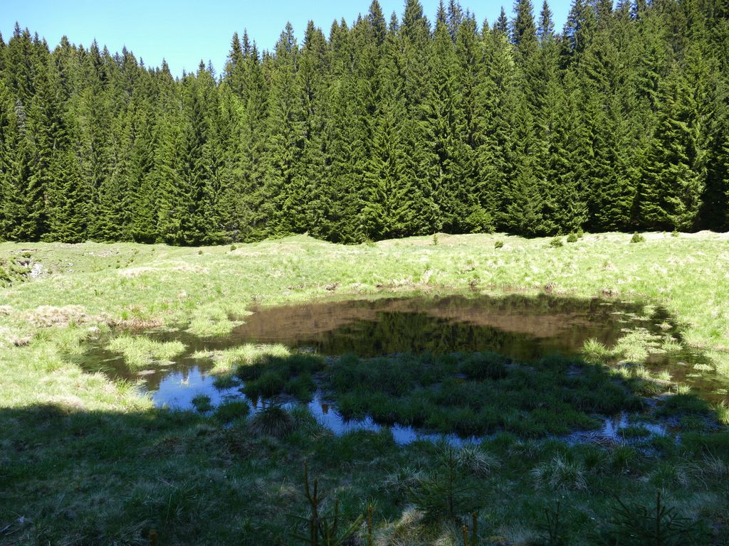 p1470613.jpg