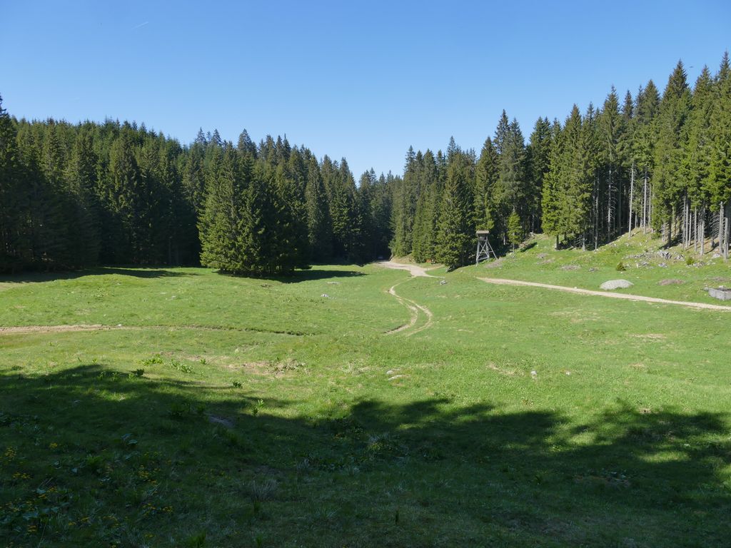 p1470632.jpg